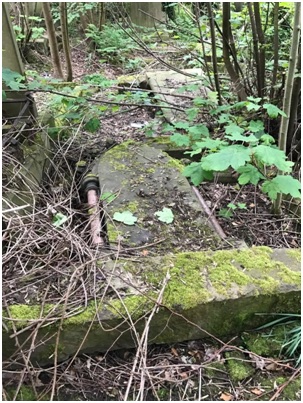 Example of damage to gravestones